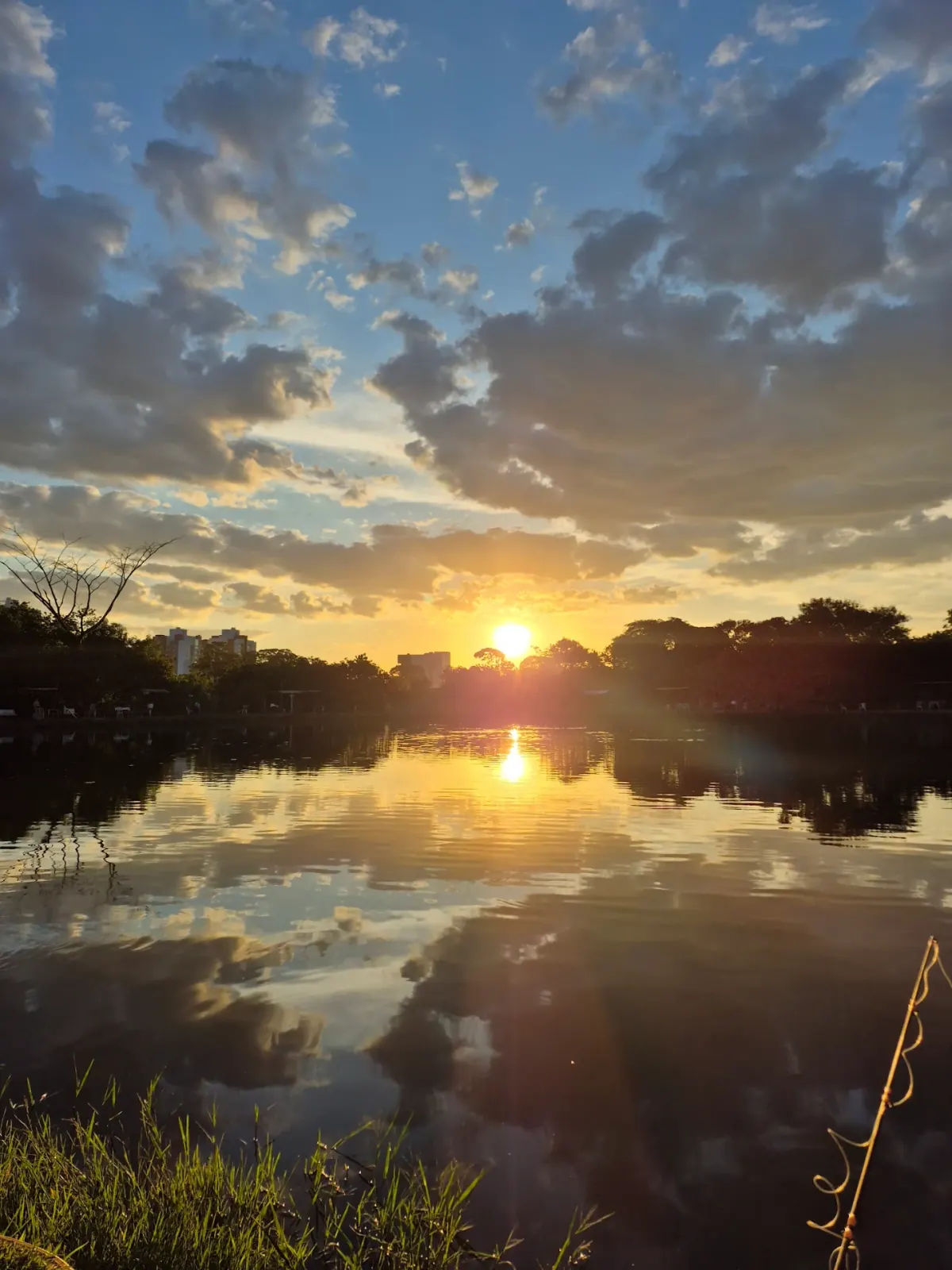 Lago e vegetação nativa do Pesqueiro do Parque em Campo Grande/MS